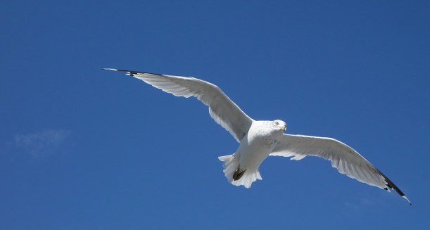 It was almost eerie, seeing the intensity up close.